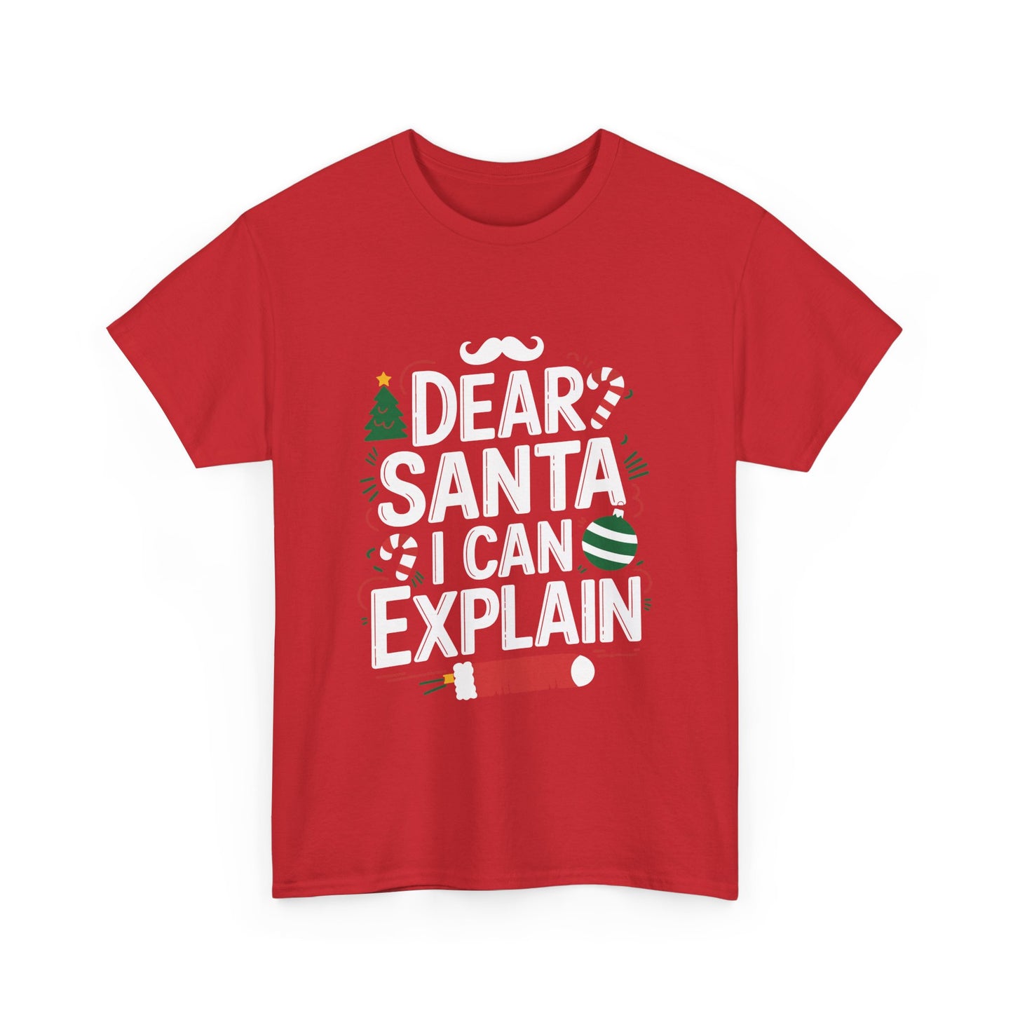 Dear Santa I Can Explain